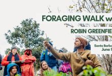 Foraging Walk with Robin Greenfield in Santa Barbara