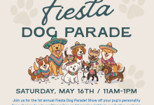 Fiesta Dog Parade