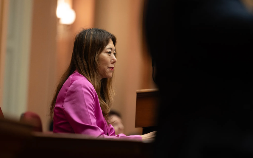 Meet the Candidates for California Lieutenant Governor: ‘A Job About Nothing’