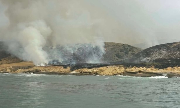 Vegetation Fire Breaks Out on Santa Rosa Island