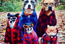 90’s Night at Carr Winery