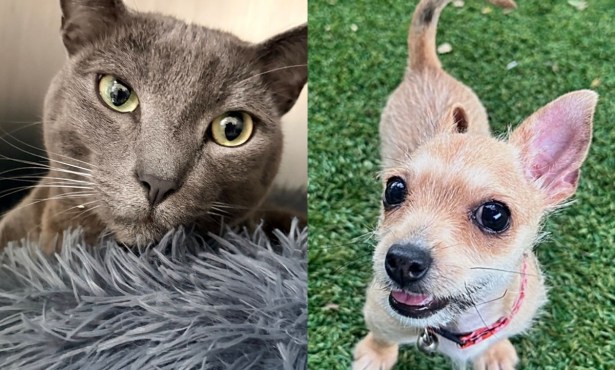 Mr. Louie and Sammi