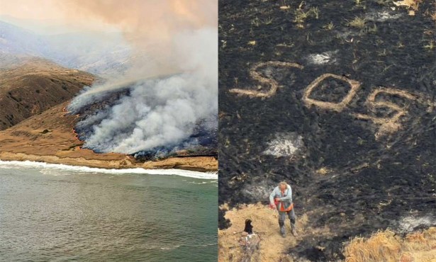 Santa Rosa Island Fire Burns Through Rare Torrey Pine Grove