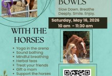 Yoga and Singing Bowls with The Horse Project