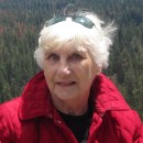 Lisa L. Gurney