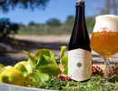 Santa Barbara Botanic Garden and Third Window Brewing Co. Join Forces to Celebrate 100 Years of Conservation