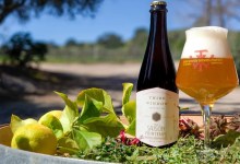 Santa Barbara Botanic Garden and Third Window Brewing Co. Join Forces to Celebrate 100 Years of Conservation