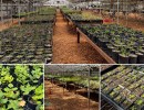 Join The Core Nursery Volunteer Team!