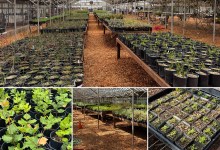 Join The Core Nursery Volunteer Team!