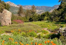 The Home Page | Spring Cleaning, Botanic Birthday & Homes Galore