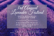 Santa Rita Hills Lavender Farm Lavender Festival
