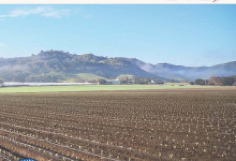 Agricultural Production Reaches $2.2 Billion in Santa Barbara County in 2026