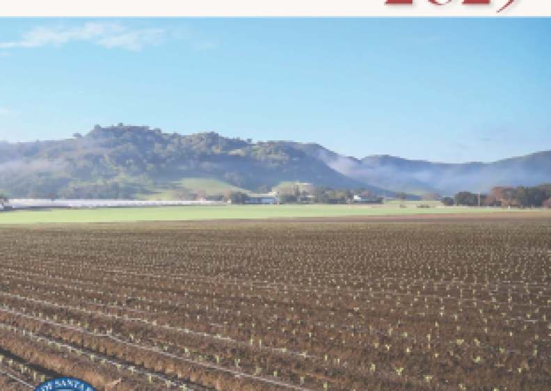Agricultural Production Reaches $2.2 Billion in Santa Barbara County in 2026