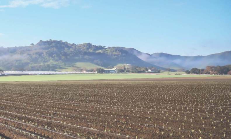 Agricultural Production Reaches $2.2 Billion in Santa Barbara County in 2026