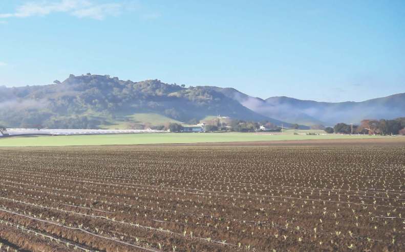 Agricultural Production Reaches $2.2 Billion in Santa Barbara County in 2026
