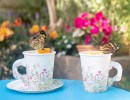 Butterfly Tea Party for SBMNH Members