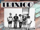 Trixico with Swell Time