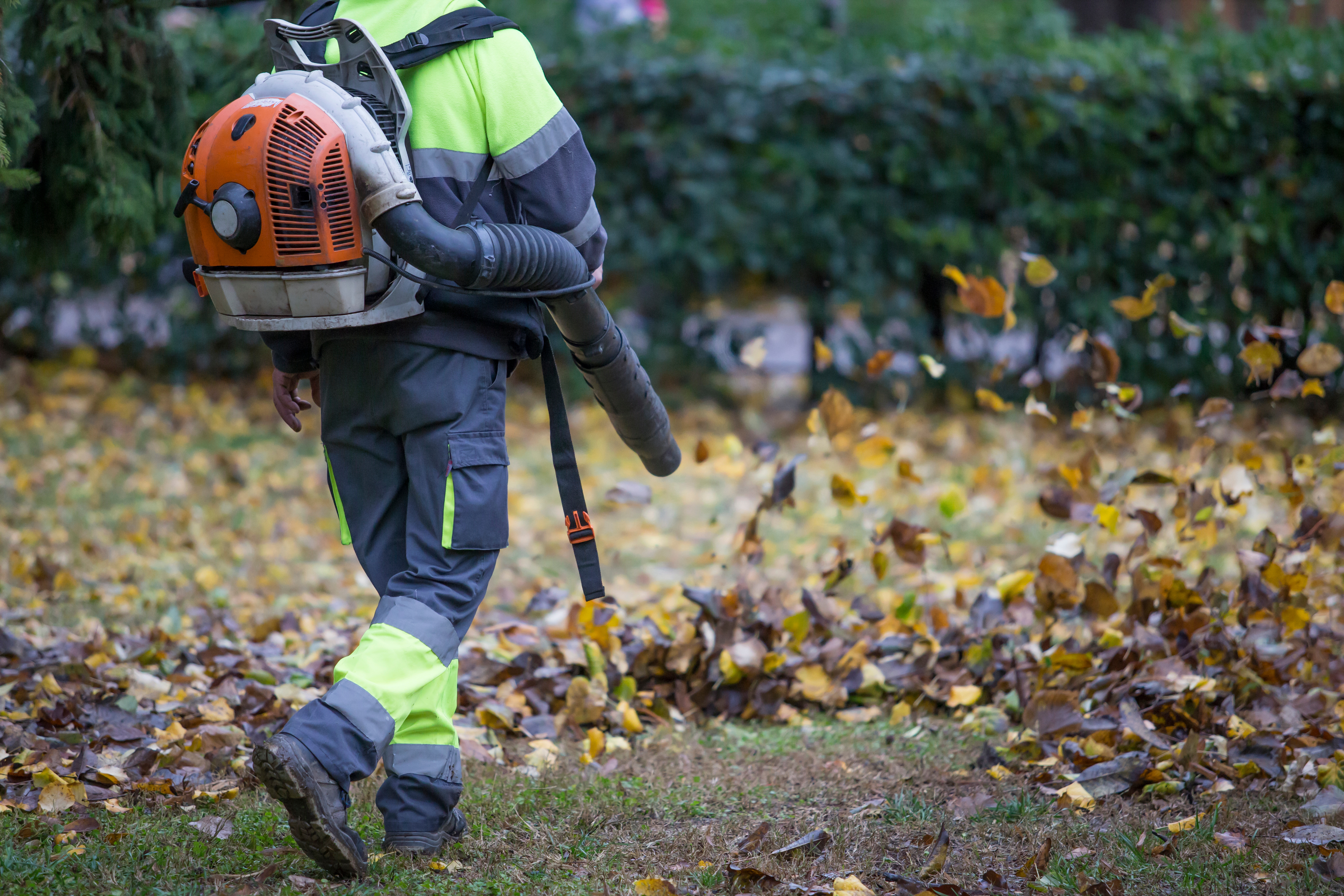 Ashleigh Brilliant's Revenge: Grand Jury Calls on City of Santa Barbara to Enforce Its Ban on Gas Leaf Blowers