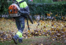 Ashleigh Brilliant’s Revenge: Grand Jury Calls on City of Santa Barbara to Enforce Its Ban on Gas Leaf Blowers