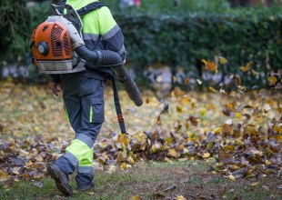 Ashleigh Brilliant’s Revenge: Grand Jury Calls on City of Santa Barbara to Enforce Its Ban on Gas Leaf Blowers