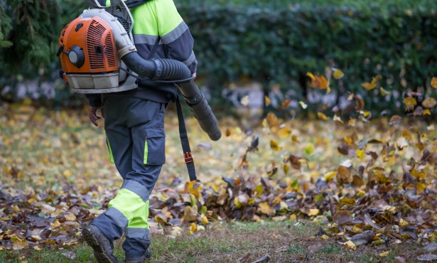 Ashleigh Brilliant’s Revenge: Grand Jury Calls on City of Santa Barbara to Enforce Its Ban on Gas Leaf Blowers