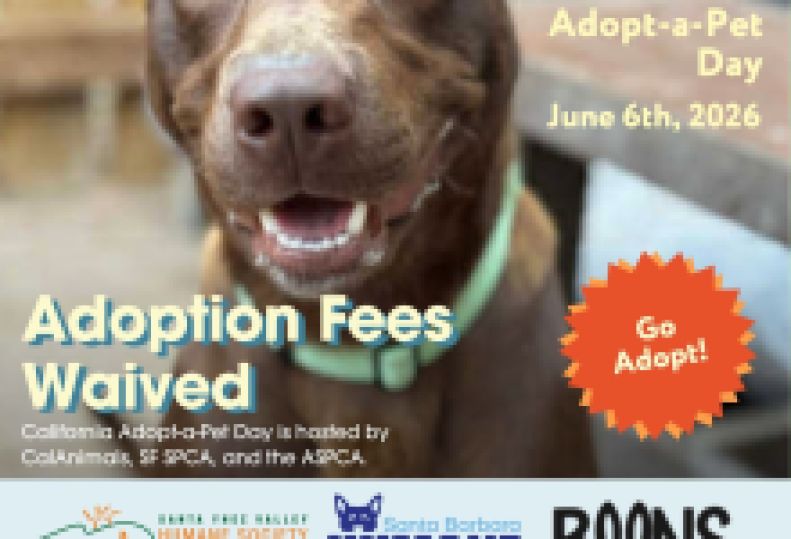 County Animal Services to Offer Fee-Waived Adoptions for California Adopt-a-Pet Day