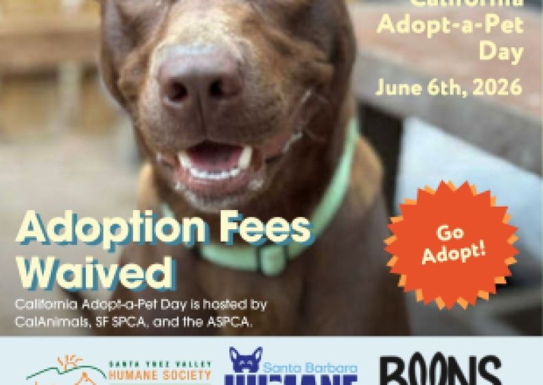 County Animal Services to Offer Fee-Waived Adoptions for California Adopt-a-Pet Day