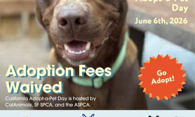 County Animal Services to Offer Fee-Waived Adoptions for California Adopt-a-Pet Day