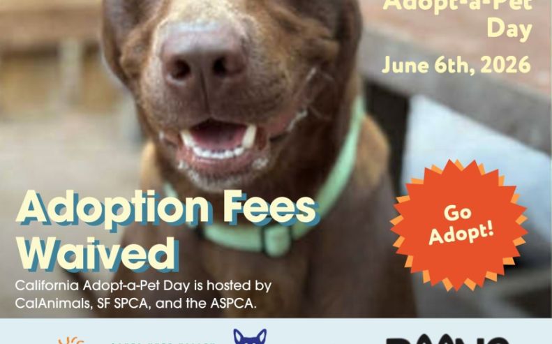County Animal Services to Offer Fee-Waived Adoptions for California Adopt-a-Pet Day