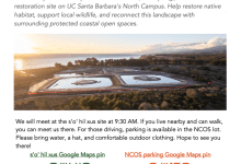 Volunteer at the S’o’ Hil Xus Restoration Site