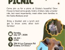 Twin Picnic – A Picnic for the Twin Community