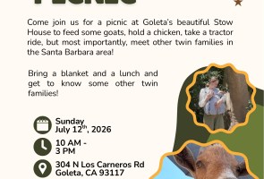 Twin Picnic – A Picnic for the Twin Community