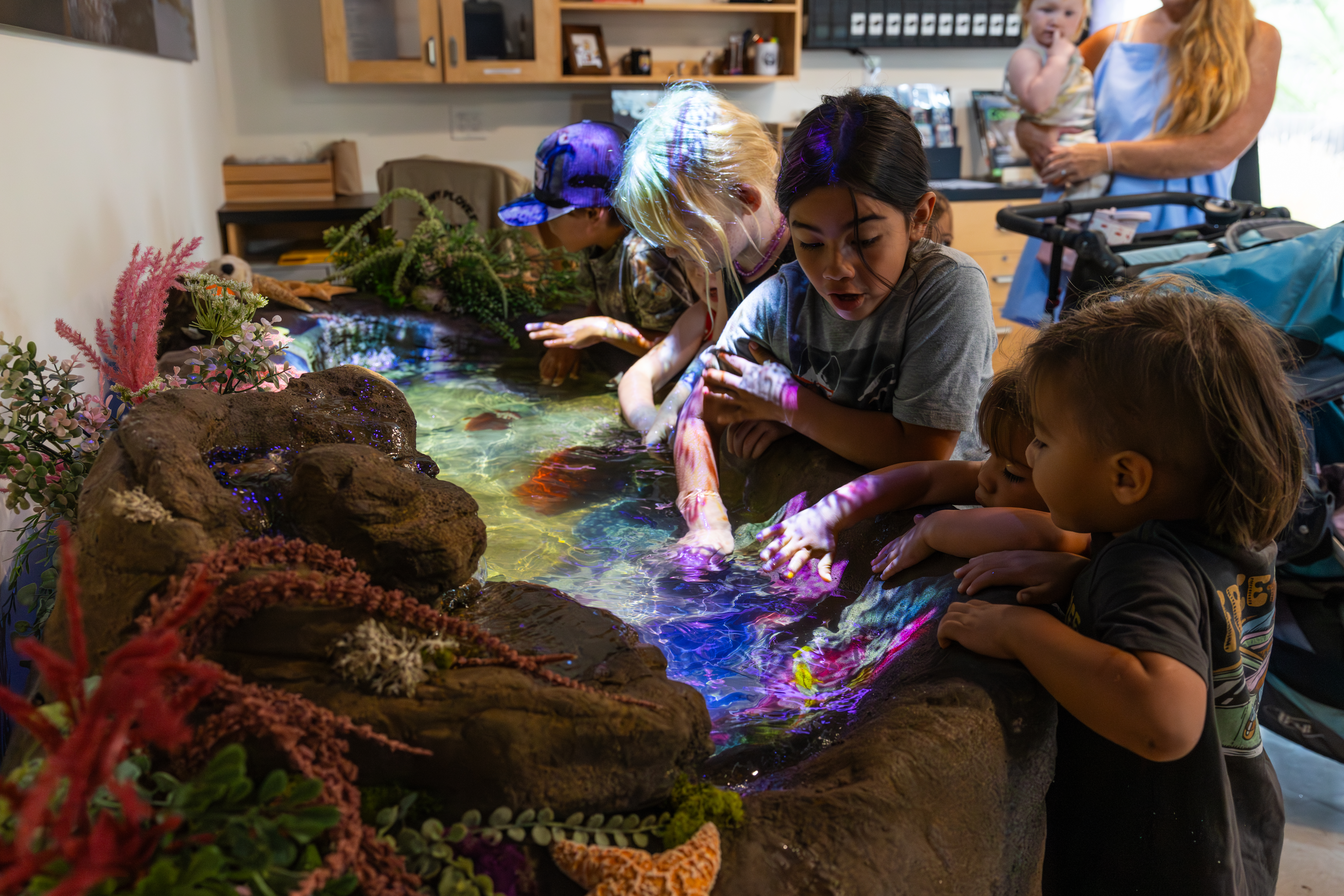Santa Barbara Zoo Reopens Conservation Hub