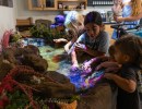 Santa Barbara Zoo Reopens Conservation Hub