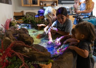 Santa Barbara Zoo Reopens Conservation Hub