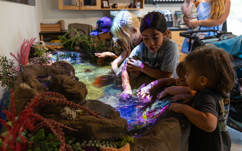 Santa Barbara Zoo Reopens Conservation Hub