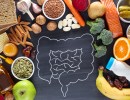 Mastering Gut Health for Wellness – Virtual Class