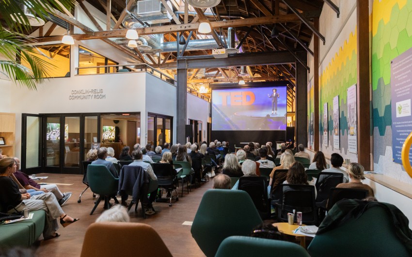 TEDx Event in Santa Barbara Uplifts Climate-Minded Community