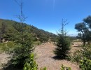 Community Members Talk Garden Use and Trail Access for Project Near San Ysidro Ranch