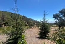 Community Members Talk Garden Use and Trail Access for Project Near San Ysidro Ranch