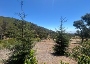 Community Members Talk Garden Use and Trail Access for Project Near San Ysidro Ranch