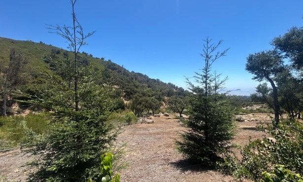 Community Members Talk Garden Use and Trail Access for Project Near San Ysidro Ranch