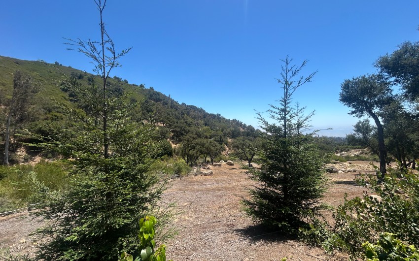 Community Members Talk Garden Use and Trail Access for Project Near San Ysidro Ranch