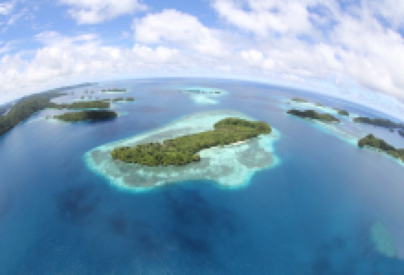 SBMM Welcomes Jennifer Sachs for Talk on Global Island Conservation Efforts