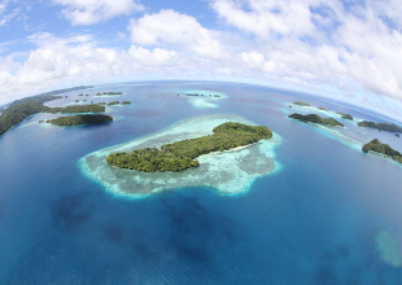 SBMM Welcomes Jennifer Sachs for Talk on Global Island Conservation Efforts