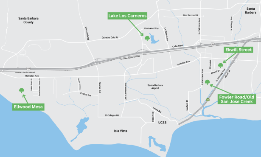 June 8, 2026 – Project Connect Mitigation Efforts to Begin at Ellwood Mesa Today