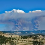 The Case Against Science
