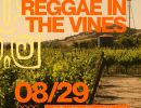 Reggae In The Vines
