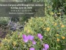 Romero Canyon Watershed Walk