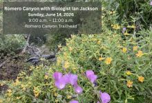 Romero Canyon Watershed Walk